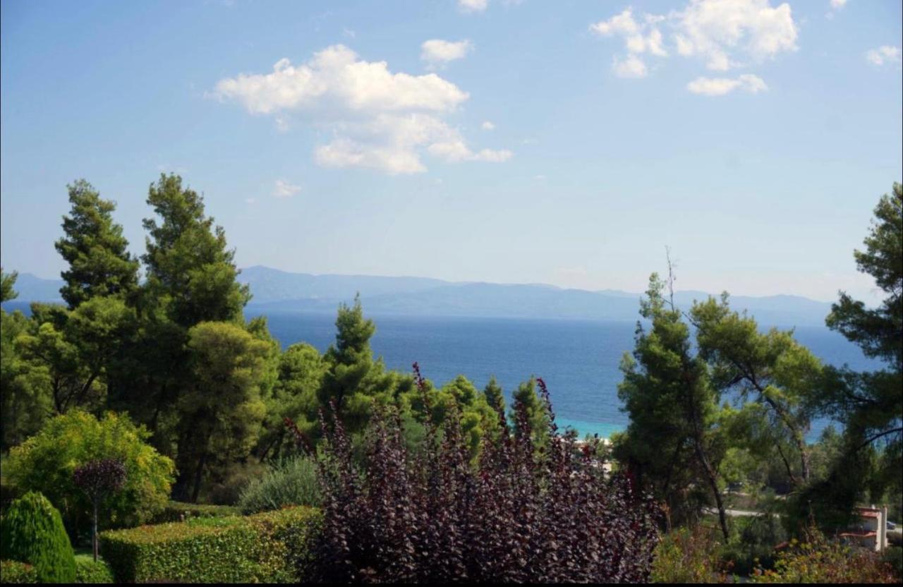 Amazing Villa With Views Sea In Paliouri Exterior photo